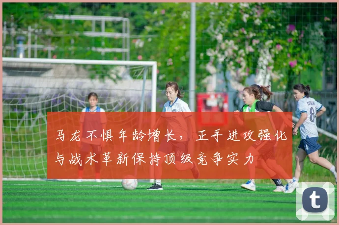 马龙不惧年龄增长，正手进攻强化与战术革新保持顶级竞争实力