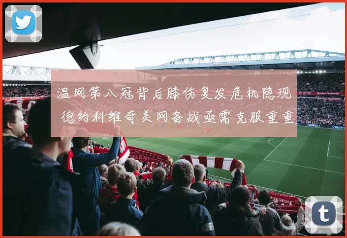 温网第八冠背后膝伤复发危机隐现 德约科维奇美网备战亟需克服重重困难
