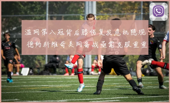 温网第八冠背后膝伤复发危机隐现 德约科维奇美网备战亟需克服重重困难